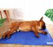 Охолоджувальна лежанка для собаки KOANNI 50 см х 40 см Синя 2407 фото 2