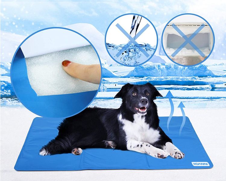 Охолоджувальна лежанка для собаки KOANNI 100 cm x 70 см Синя 2406 фото